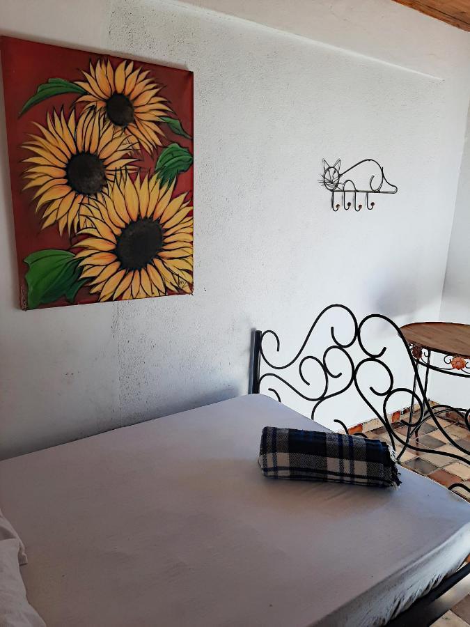 Hospedaria E Hostel Da Deia โอว์โรเปรโต ภายนอก รูปภาพ